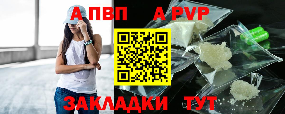 A PVP СК Фрязино