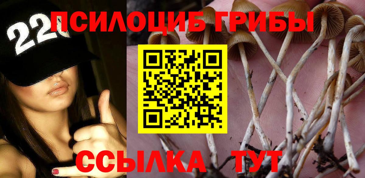 Галлюциногенные грибы Psilocybine cubensis Фрязино