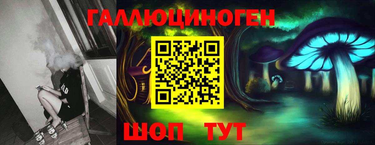 Фрязино  Псилоцибиновые грибы Cubensis  Вход с VPN 